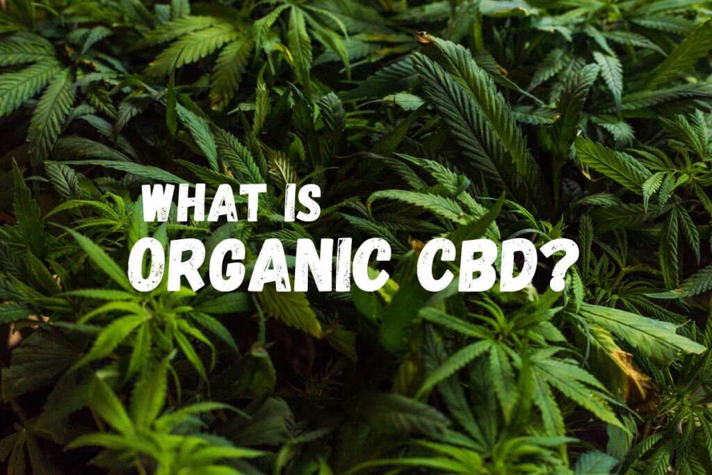 What is Organic CBD