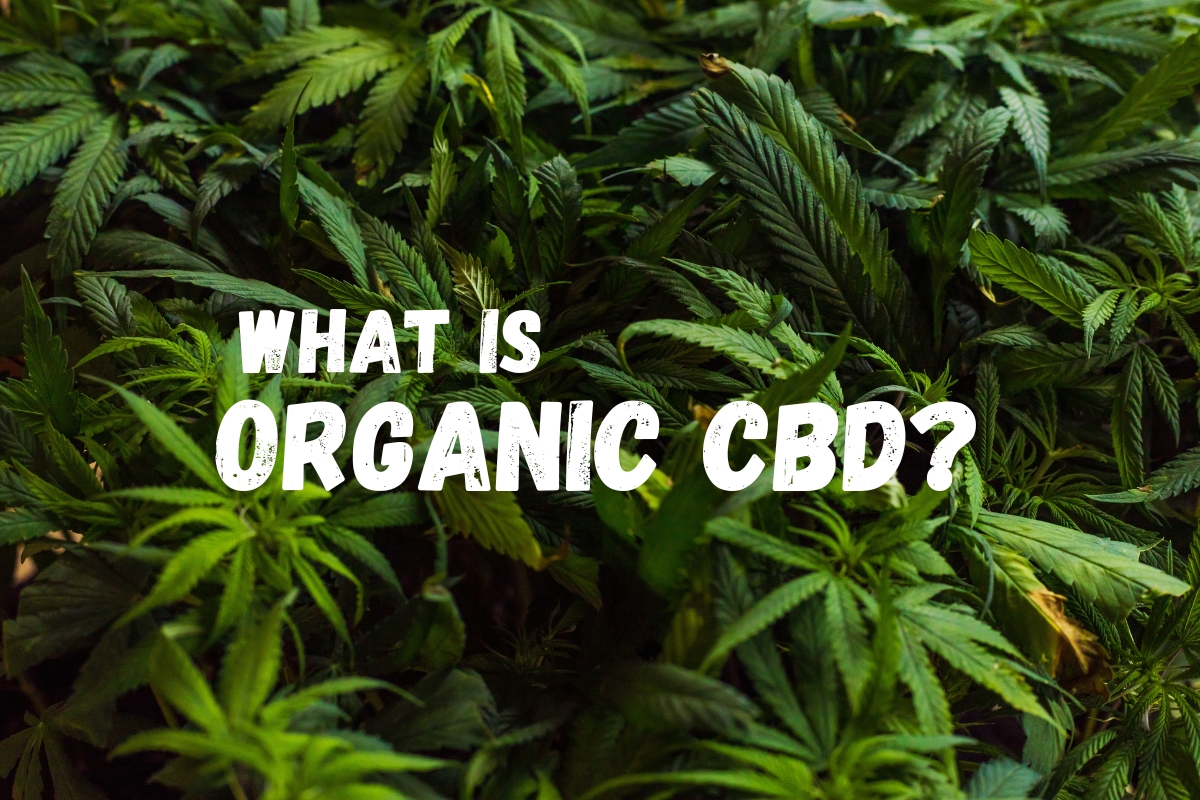 What is Organic CBD