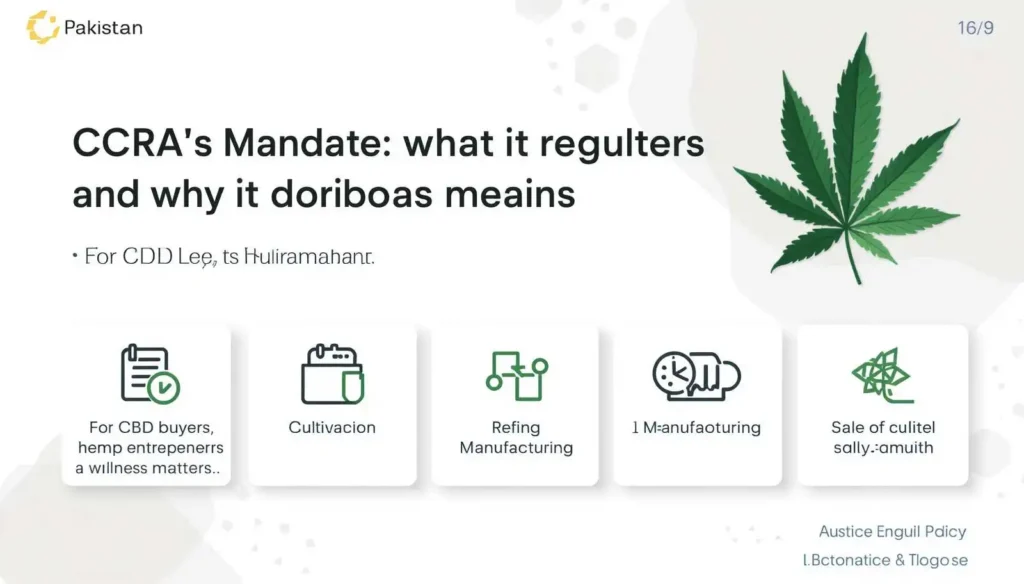 Feature image about CCRA’s mandate in Pakistan, showing cannabis regulation across cultivation, refining, manufacturing, and sale of derivatives