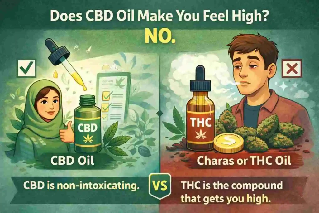 Does CBD oil make you feel high feature image comparing CBD vs THC