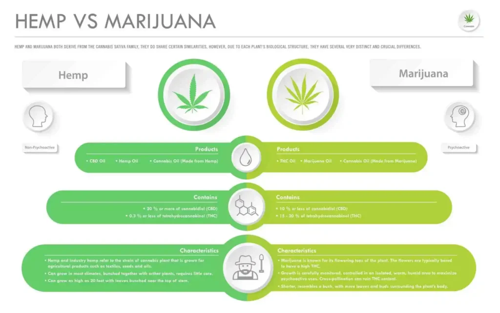 industrial hemp vs medicinal cannabis comparison showing 0.3 percent THC threshold and regulatory difference